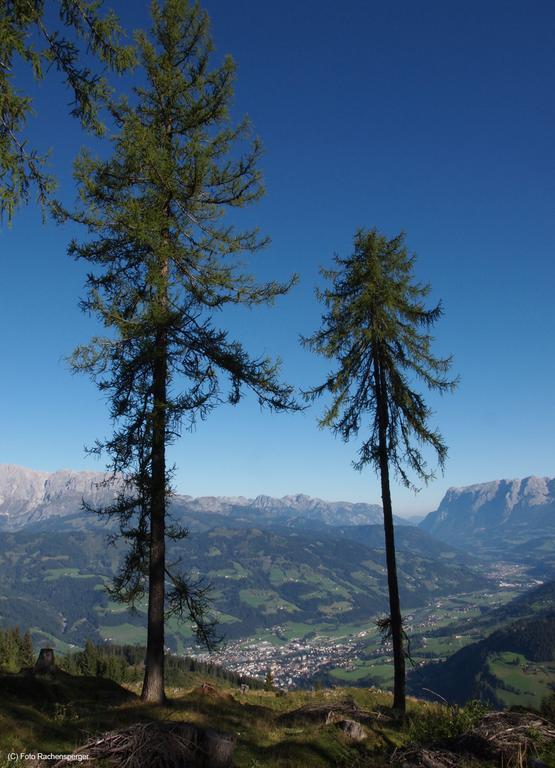 Appartamento Hinterburgschwaig Hof Sankt Johann im Pongau Esterno foto