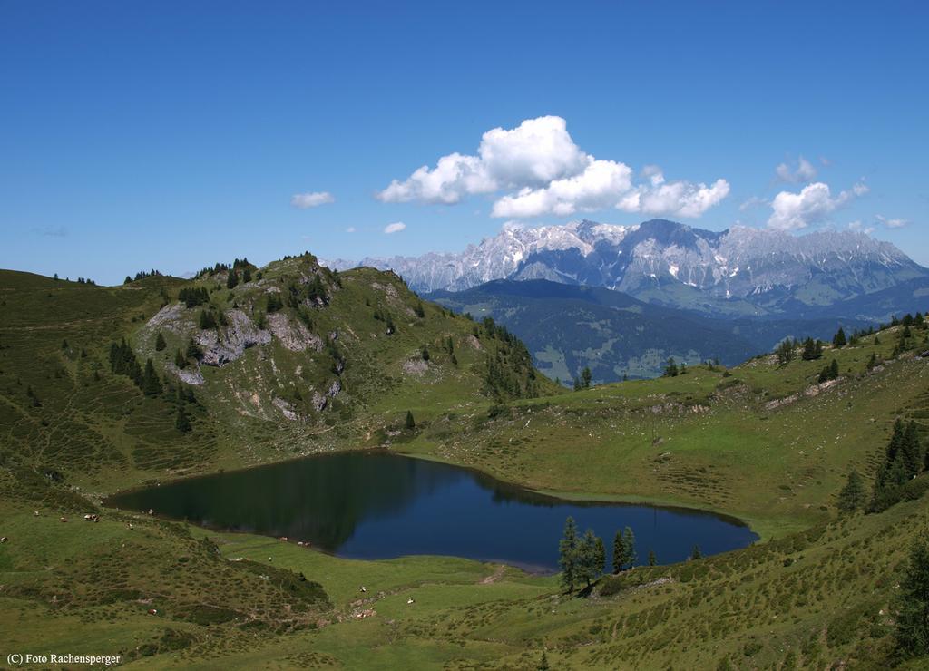 Appartamento Hinterburgschwaig Hof Sankt Johann im Pongau Esterno foto