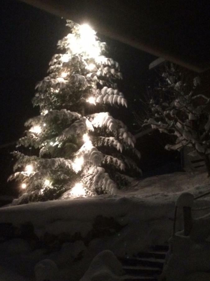 Appartamento Hinterburgschwaig Hof Sankt Johann im Pongau Esterno foto